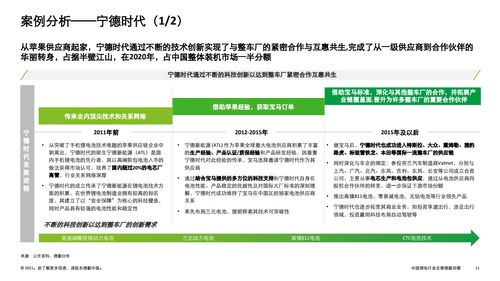 德勤咨询 2021年中国锂电行业发展观察