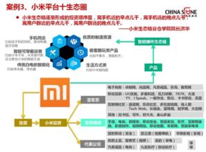 中国市场不能只崇拜胜利者,也要为失败者鼓掌 深度剖析贾跃亭成败及中国企业生态模式 北京华夏基石管理咨询集团