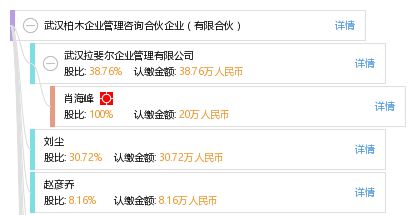 武汉柏木企业管理咨询合伙企业 有限合伙